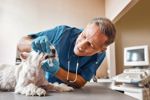 Best Cracked Tooth Emergency Dentist  in Fort Mill, SC